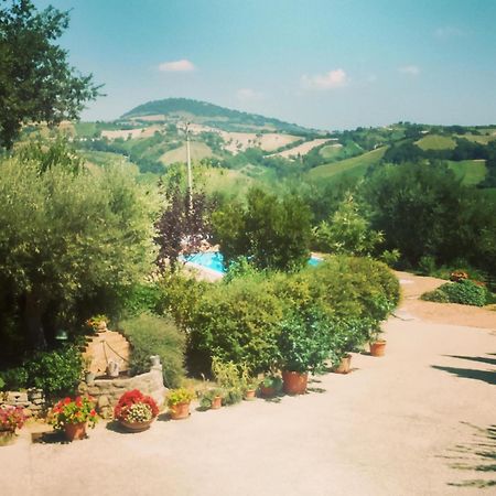 Bed and Breakfast Casale Il Cerqueto San Severino Marche Pokoj fotografie