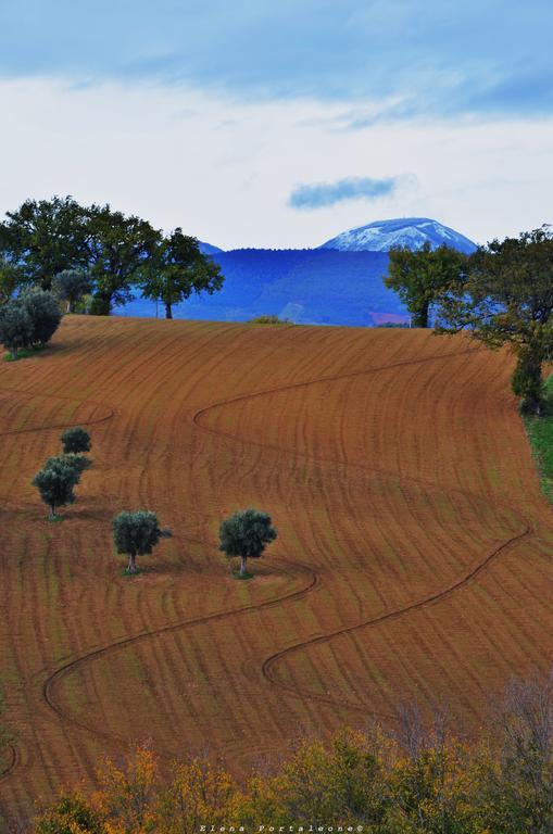Bed and Breakfast Casale Il Cerqueto San Severino Marche Exteriér fotografie
