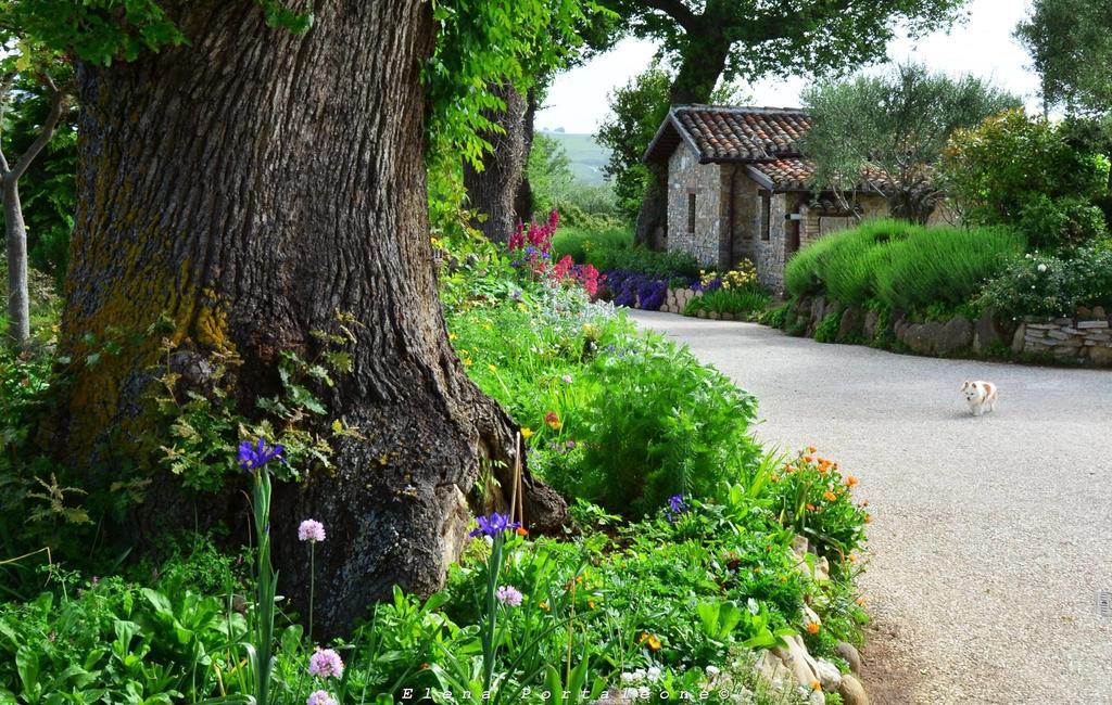 Bed and Breakfast Casale Il Cerqueto San Severino Marche Exteriér fotografie